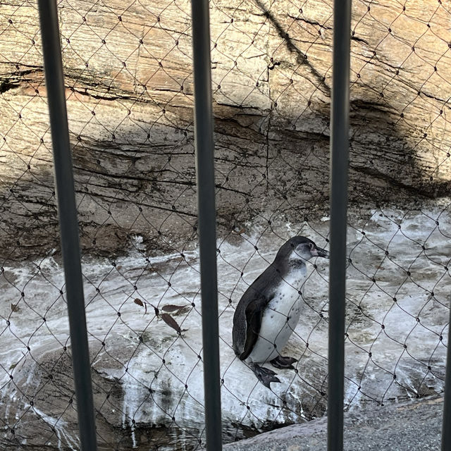 名古屋親子連れスポット‼︎見応え抜群の動植物園⭐︎