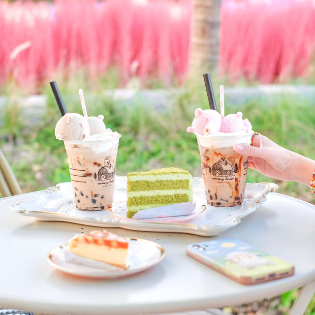 Memory House Cafe ทุ่งหญ้าหลากสี