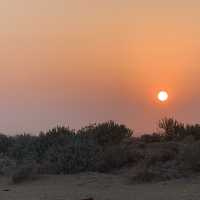 Sand and Sanddunes - Rajasthan at its best 