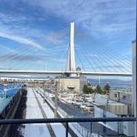 Winter Wonders Unveiled: Aomori Bay Bridge