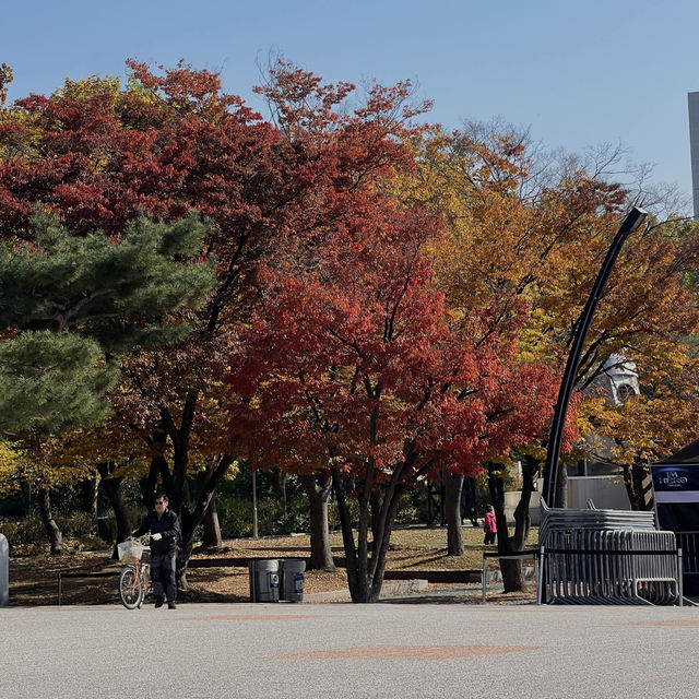 Place to go in Seoul ( Fall season)