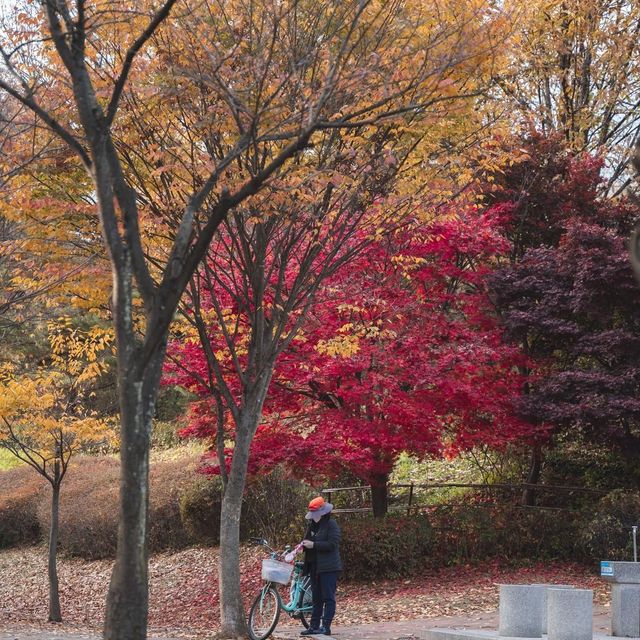 Incheon Grand Park (인천대공원)