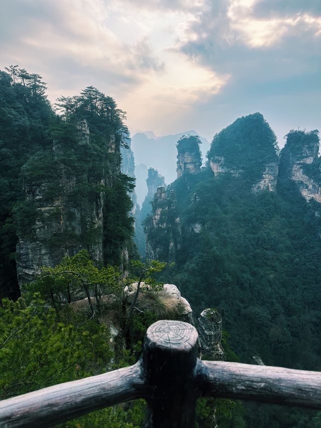 The Avatar Mountains - Zhangjiajie🌲🏔️