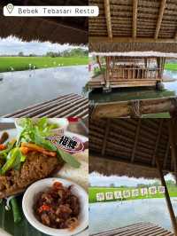 峇里田園餐廳🍴Ubud人氣水上用餐🙉Bebek Tebasari Resto☺️