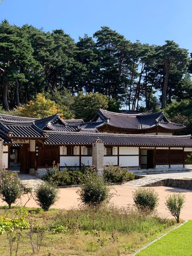 조선의 아름다운 정취, 자연과 가옥이 하나되는 느낌을 받을 수 있는 🌊강릉 ‘오죽헌’