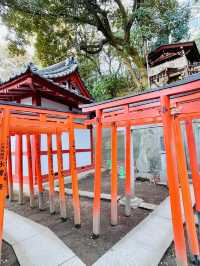 【東京都/王子稲荷神社】パワースポット・狐の穴