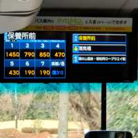名古屋冬天限定樹冰與冰瀑，可滑雪玩雪撬