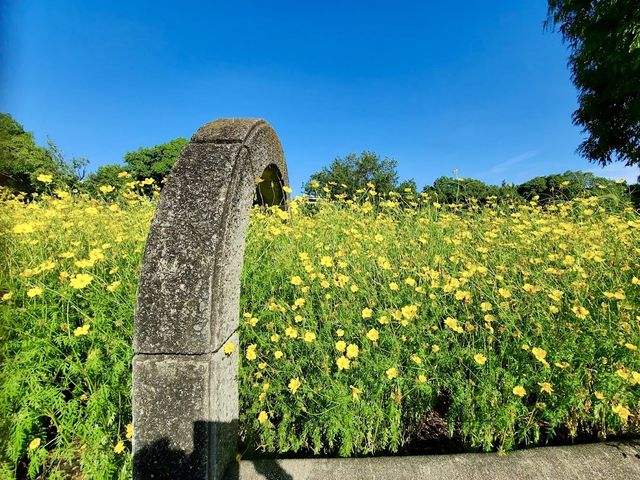 Kyuhoji Green Space
