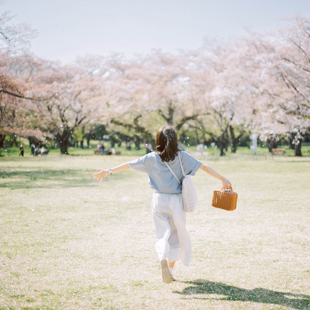 【東京】「昭和記念公園」が春の最強スポットすぎる🌸