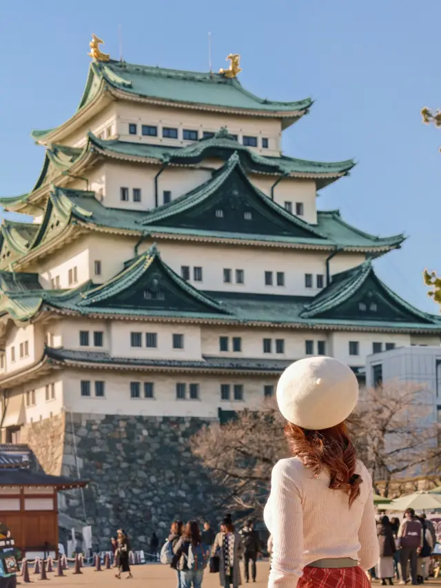日本好去處｜拜訪三大名城之一「名古屋城」