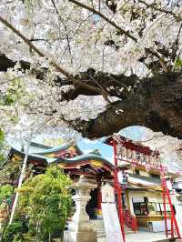 【居木神社/東京都】花散る桜吹雪が美しい神社