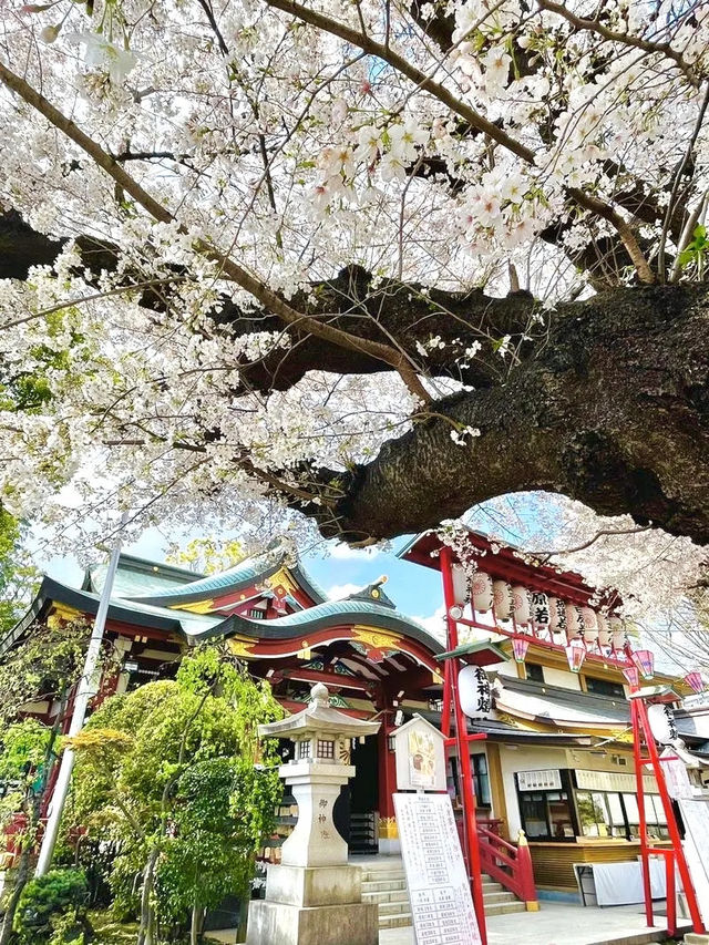 【居木神社/東京都】花散る桜吹雪が美しい神社