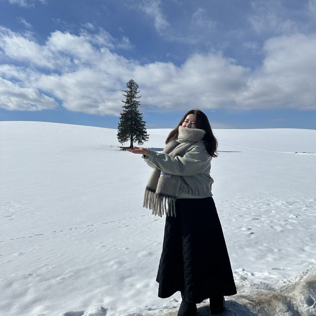 새하얀 눈위에 나무 한그루 🌲