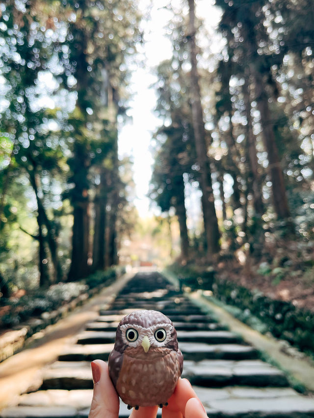 🇯🇵日本仙台瑞鳳殿👣 伊達政宗的廟堂