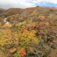 【那須】紅葉狩りのあとにおすすめスポット&グルメ