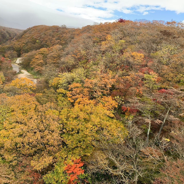 【那須】紅葉狩りのあとにおすすめスポット&グルメ