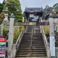 京都花手水発祥のお寺⭐柳谷観音楊谷寺⭐