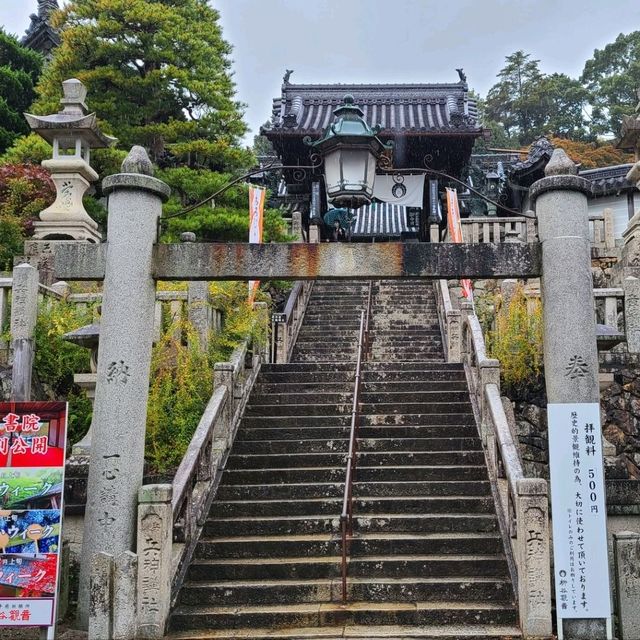 京都花手水発祥のお寺⭐柳谷観音楊谷寺⭐