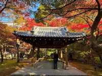 Eikando Templeจุดชมใบไม้เปลี่ยนสีชื่อดังของเกียวโต