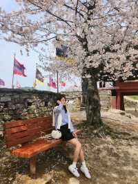 분홍분홍한 벚꽃과 한국스러운 성곽의 조합이 아름다운 곳🌸