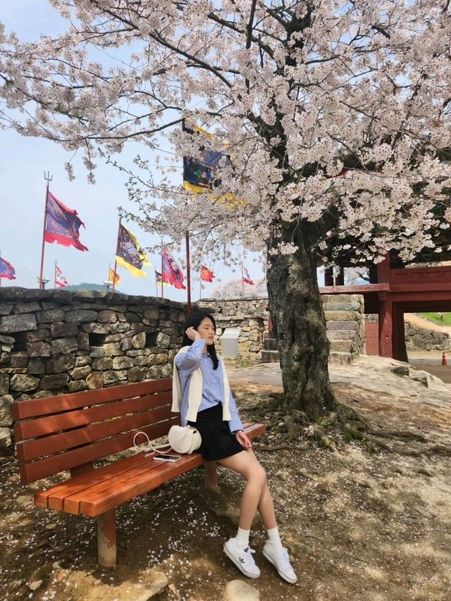 분홍분홍한 벚꽃과 한국스러운 성곽의 조합이 아름다운 곳🌸