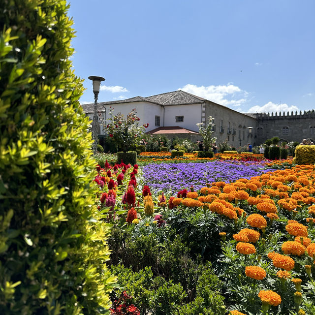 Garden with colourful flowers 🌺🌼🪻