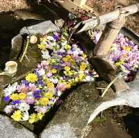 【医王山薬寿院 八王寺/埼玉県】ユーモラスな願いを叶える⁉︎寺院