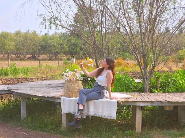 คาเฟ่สวยพิกัดภูผาม่าน