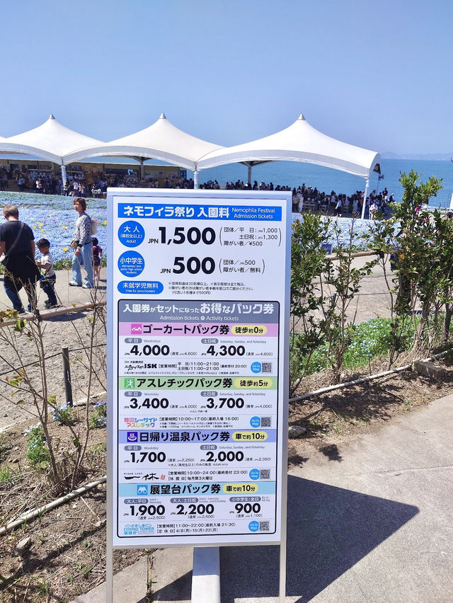  Nemophila Festival งานเทศกาลดอกไม้โอซาก้า