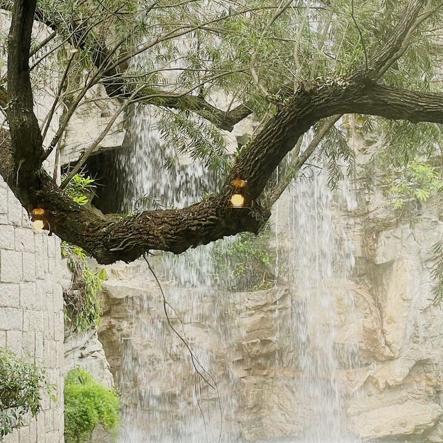 香港公園的綠蔭中的Pondside餐廳就像一顆隱藏的珍珠