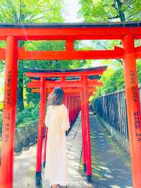 【東京】鮮やかでまぶしいつつじまつり