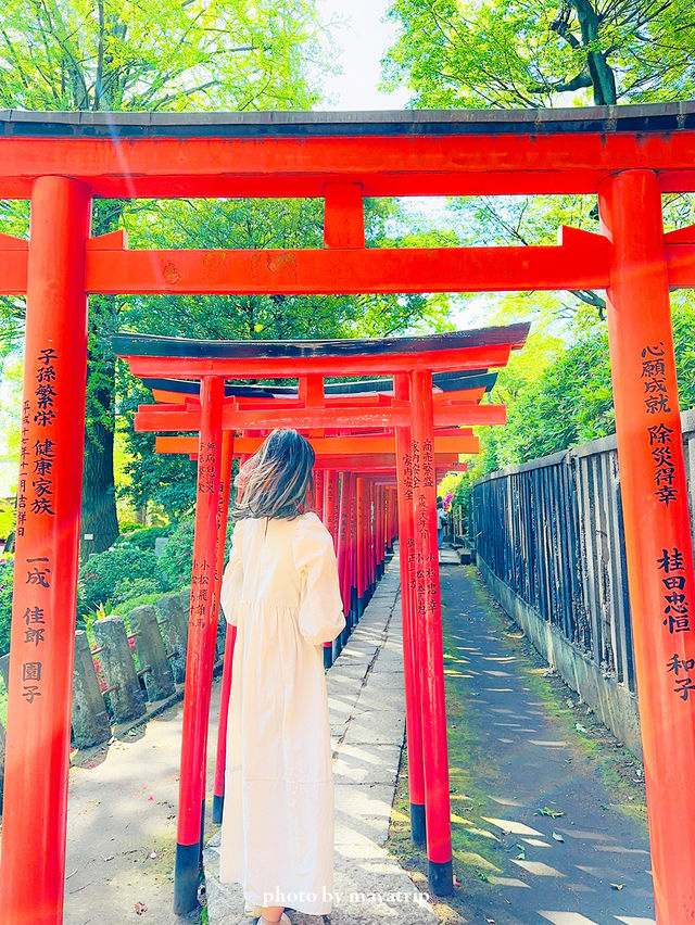 【東京】鮮やかでまぶしいつつじまつり
