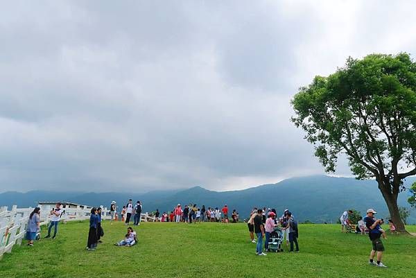 台東親子旅遊大推初鹿牧場chill一天