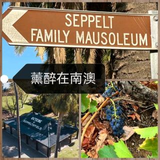 Seppeltsfield Winery～沉醉美酒美食美景