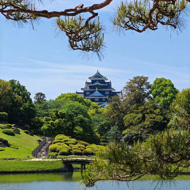 福岡島城中央公園：綠意盎然的城市綠洲，與大自然合而為一