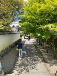 【京都】南門からの平等院