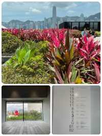 🌼🌸 春日寧靜楽園 🌸🌼 M+空中花園：春日散步好去處！