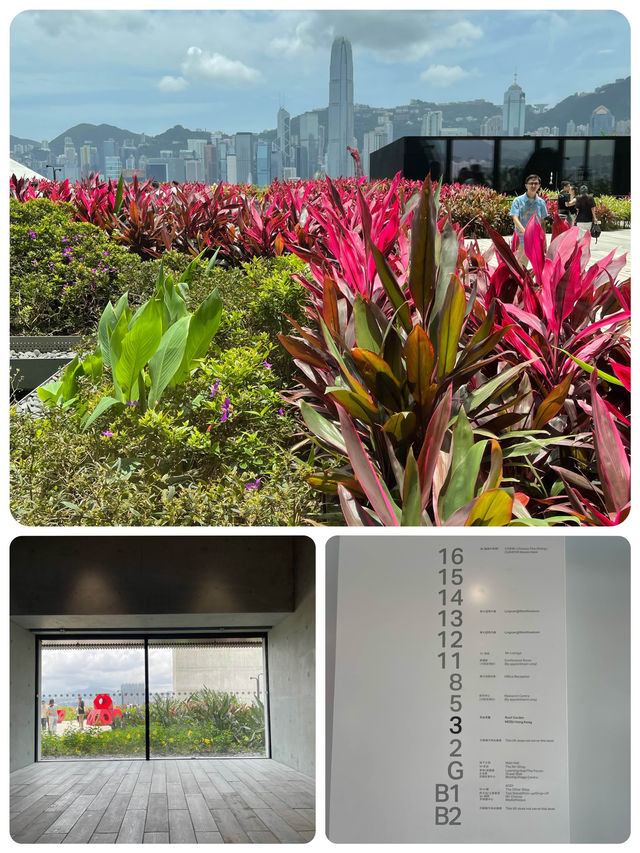 🌼🌸 春日寧靜楽園 🌸🌼 M+空中花園：春日散步好去處！