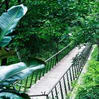 臺北象山步道：城市中的自然寧靜，俯瞰高樓大廈與綠意盎然的獨特景緻