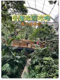 🌟春日探訪香港綠洲:尤德觀鳥園🌿