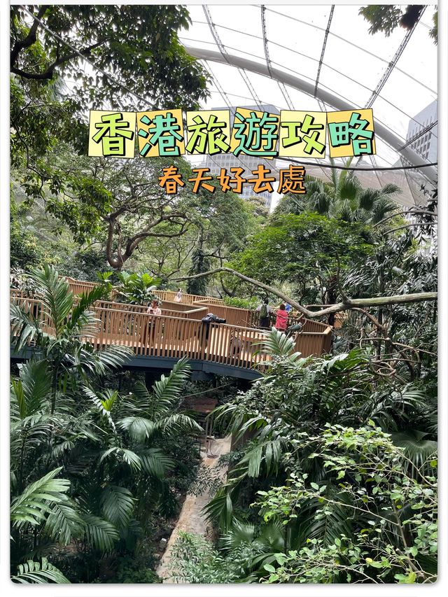 🌟春日探訪香港綠洲:尤德觀鳥園🌿 🌟春日探訪香港綠洲:尤德觀鳥園🌿