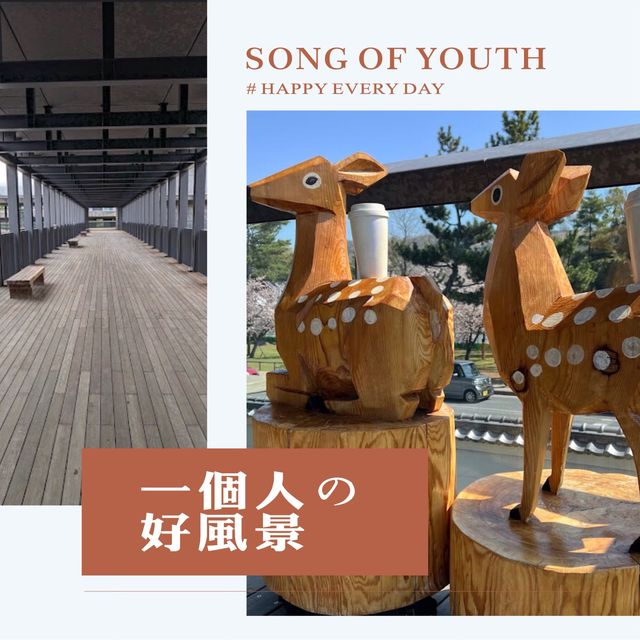 奈良公園景點懶人包💕