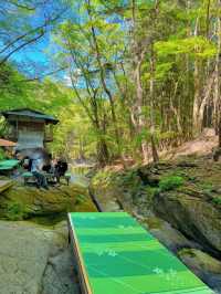 【栃木】ココはどこ？森と水辺の絶景癒しカフェ𖠚ᐝ