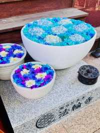【紫陽花に変化‼️花手水で有名の法輪寺】