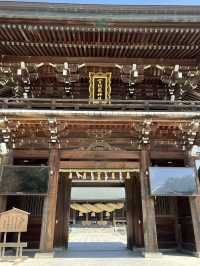 【福岡神社】日本一の大縄のある神社⛩光の道も有名なところです✨