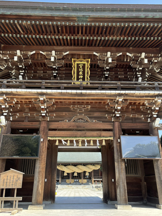 【福岡神社】日本一の大縄のある神社⛩光の道も有名なところです✨