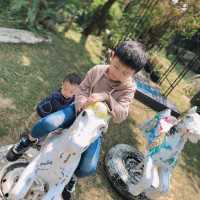 苗栗銅鑼 莫內的秘密花園 童趣鄉村
