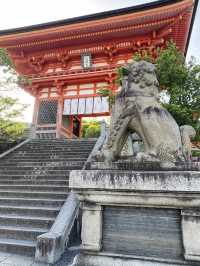 【京都】早朝の清水寺