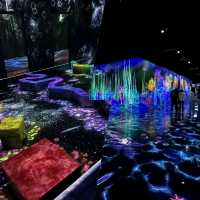 【福岡景點】teamLab森林：夢幻光影，日本必去打卡點