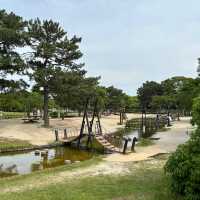【 盡情享受各種遊樂設施 】 